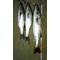新潟Fishing[D:F9F6][D:F99F]