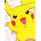 ポケカー熊本クラブ