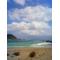 [A:F367]ちゅら島[A:F367]