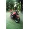 ﾊﾞｲｸ好ぎ集まれ