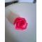薔薇色の夢