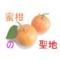 蜜柑の聖地
