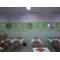 【[A:F443]】堅麺飯店【[A:F44A]】